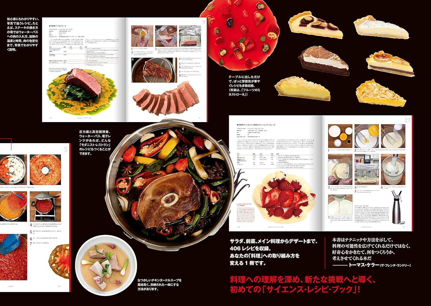 Modernist Cuisine at Home All About Modern Cuisine Romania | Ubuy